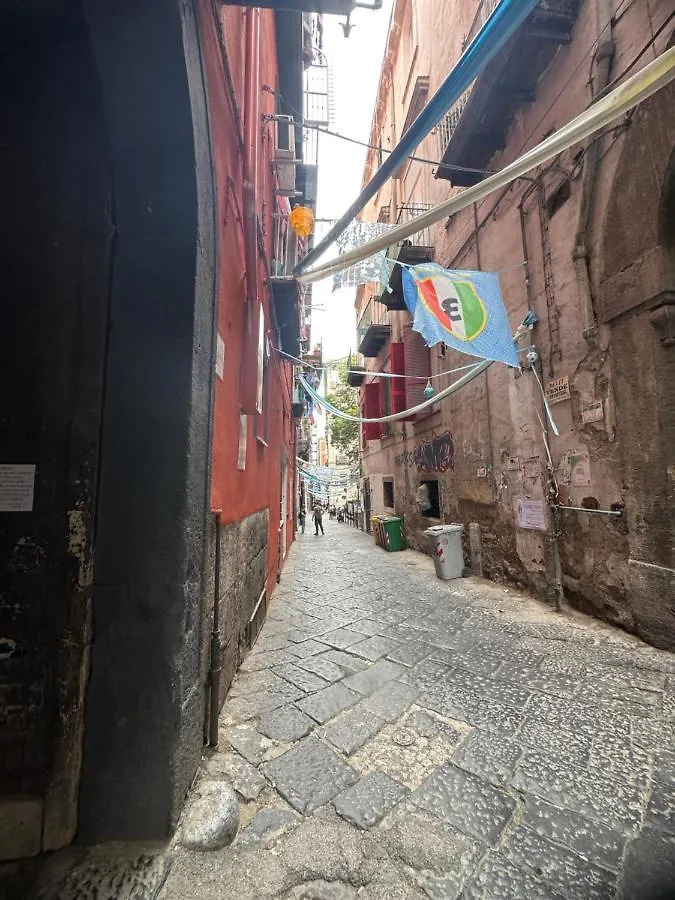 Domus Partenope Centro Storico Naples Italy