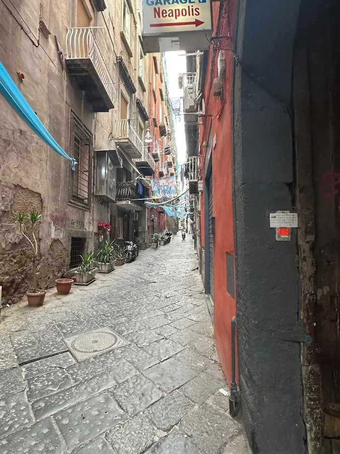 Holiday home Domus Partenope Centro Storico Naples